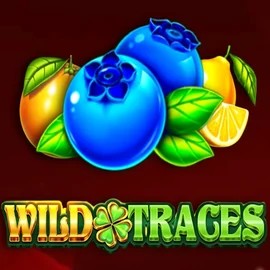 Play Wild Traces slot by Amusnet Interactive on reels-oncasino.com